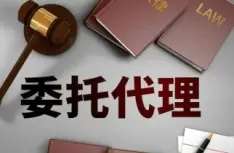 诉讼代理