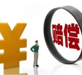 争取损害赔偿