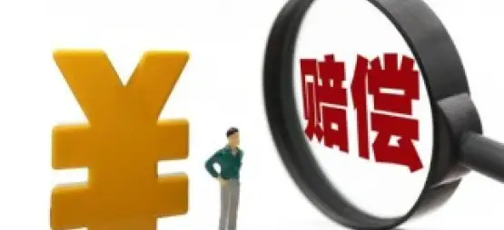 争取损害赔偿