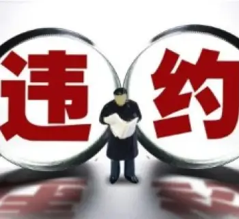 违约责任追究