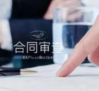 法律咨询与合同审查