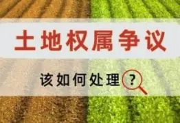 土地使用权纠纷处理