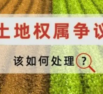 土地使用权纠纷处理