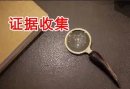 证据收集与准备