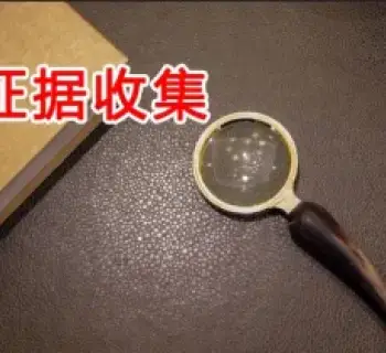 证据收集与准备