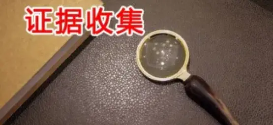 证据收集与准备