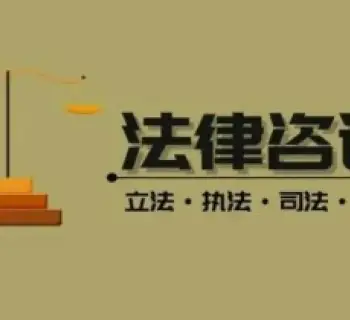 法律咨询与案件评估