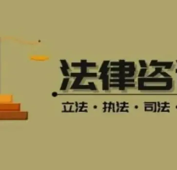 法律咨询与案件评估